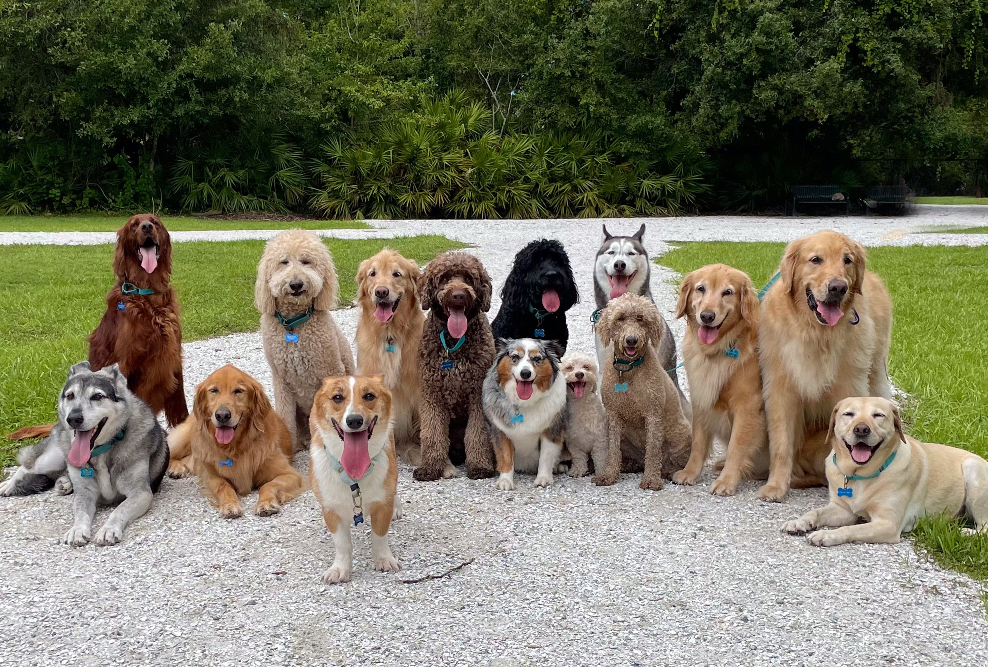 How to Help Your Dog Thrive at Every Age