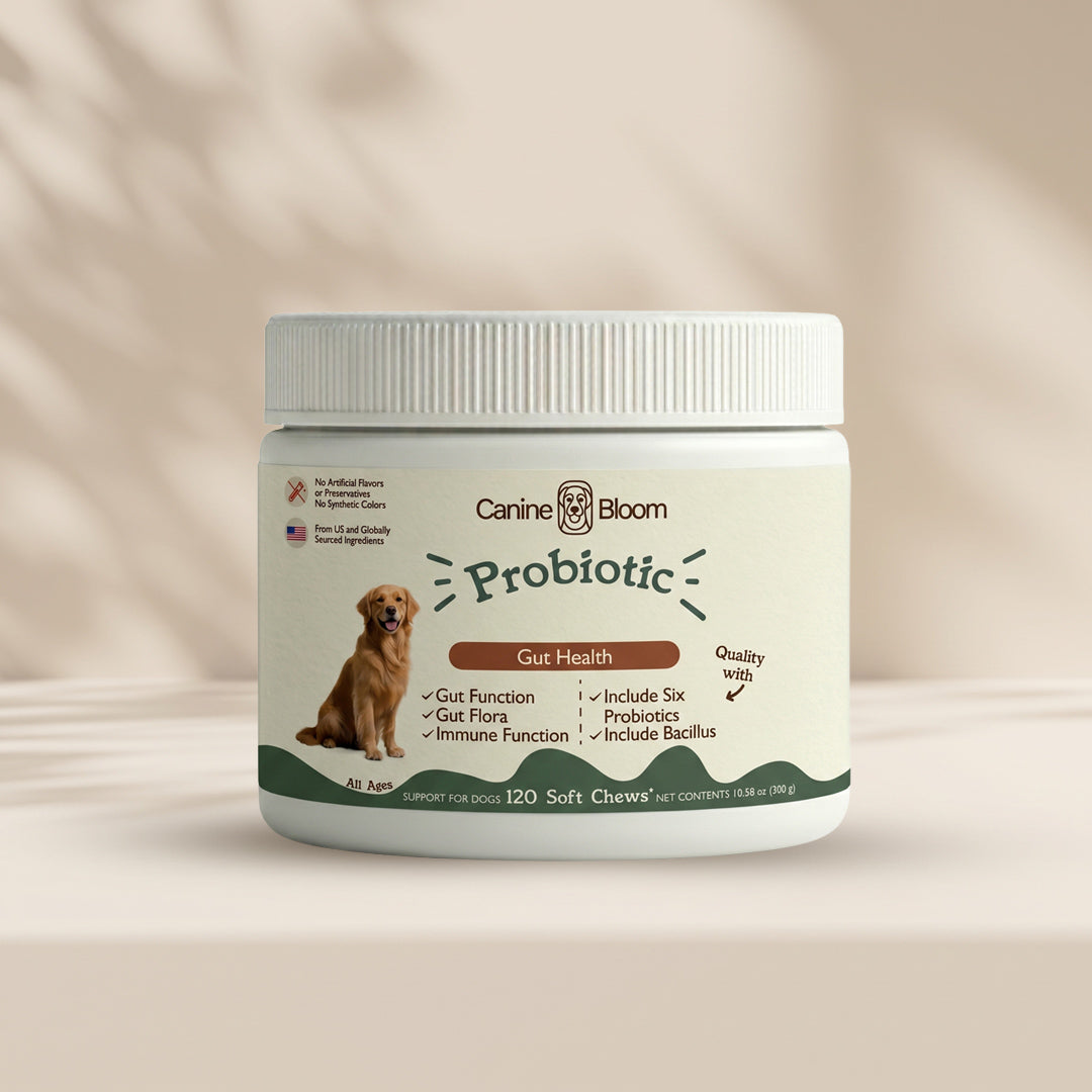 A white plastic jar of Canine Bloom Probiotic dog supplements, featuring a cream-colored label with a golden retriever illustration and product details, set against a warm beige background with soft leaf shadows.