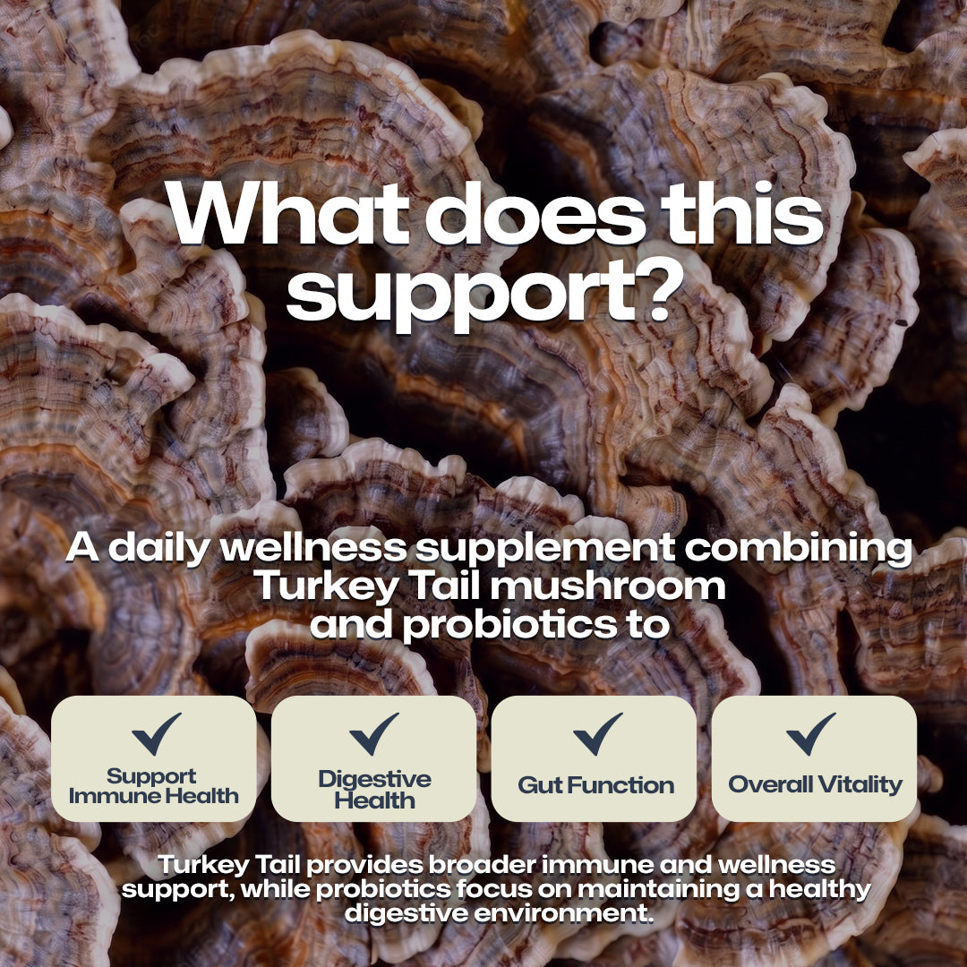 Promotional graphic with a close-up background of Turkey Tail mushrooms and large white text reading 'What does this support?' followed by descriptive copy about a daily wellness supplement combining Turkey Tail mushroom and probiotics, with five benefit callouts at the bottom.
