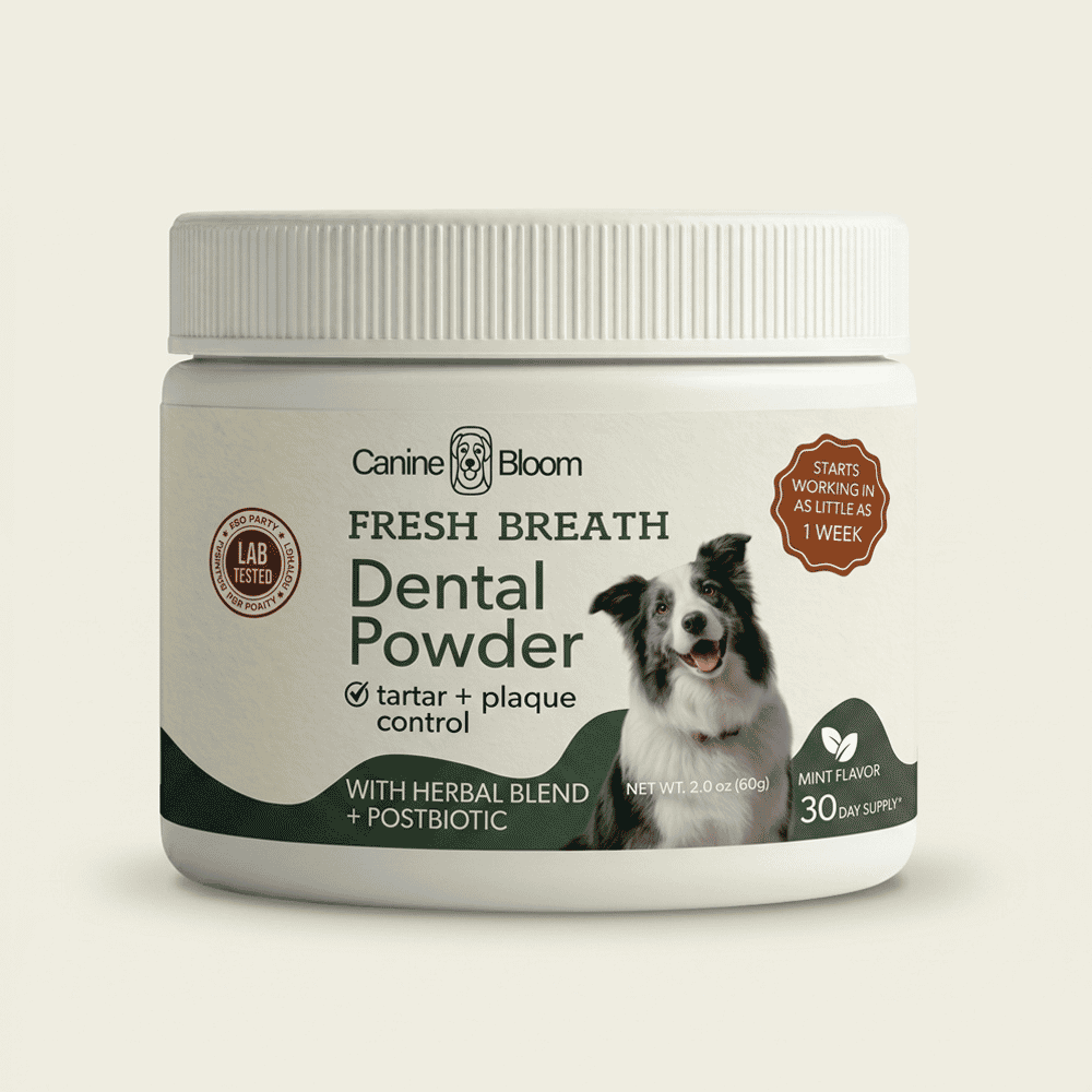A white plastic jar of Canine Bloom Fresh Breath Dental Powder with a black and white dog on the label, set against a solid light beige background.