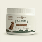 A white plastic jar of Canine Bloom Probiotic dog supplements, featuring a label with a brown dog illustration and text detailing gut health benefits, set against a solid cream background.