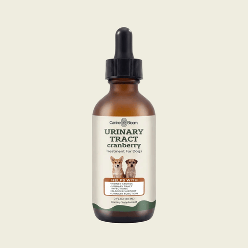 Carls Bom Urinary Tract Cranberry Treatment For Dog in an amber glass dropper bottle with a black cap and white label, centered on a light beige background.