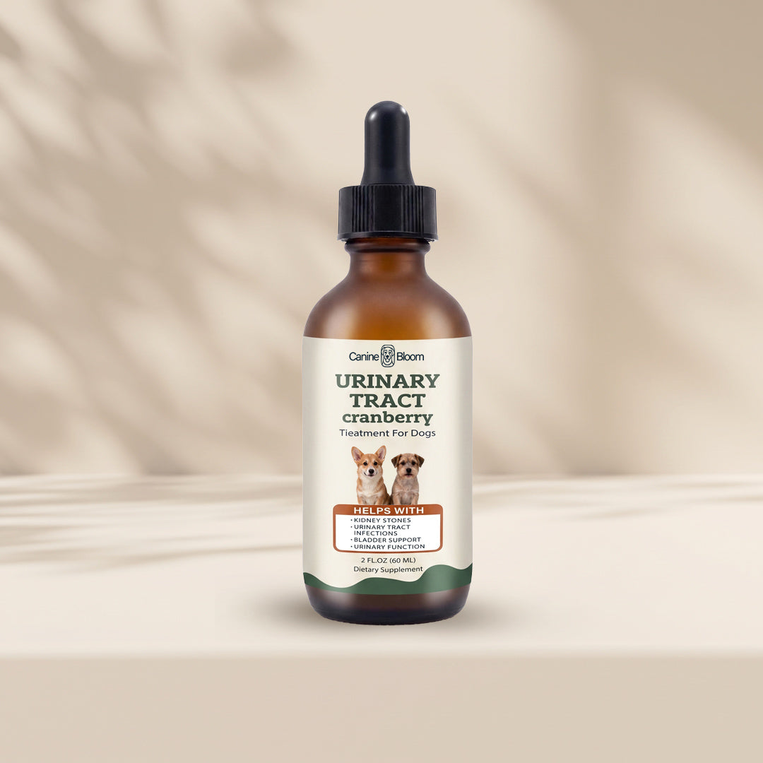 An amber glass dropper bottle of Care4Allom Urinary Tract Cranberry Treatment for Dogs, displayed on a beige surface with soft leaf shadows.