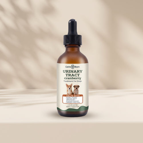 An amber glass dropper bottle of Care4Allom Urinary Tract Cranberry Treatment for Dogs, displayed on a beige surface with soft leaf shadows.
