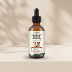 A bottle of Canine Room Urinary Tract Cranberry Treatment for Dogs, featuring an amber glass bottle with a black dropper cap and a cream-colored label, set against a warm beige background with soft leaf shadows.