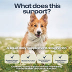 A promotional graphic for a liquid daily supplement featuring a fluffy red and white dog sitting in a grassy field. Large text at the top reads 'What does this support?' and the lower text lists benefits: 'Support Urinary Tract Health,' 'Bladder Function,' 'Normal Urinary Function,' and 'Overall Urinary Wellness.
