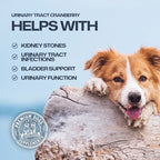 Promotional graphic for urinary tract cranberry supplements for dogs, featuring a brown and white dog resting on a log against a light blue background. Text lists benefits: helps with kidney stones, urinary tract infections, bladder support, and urinary function.