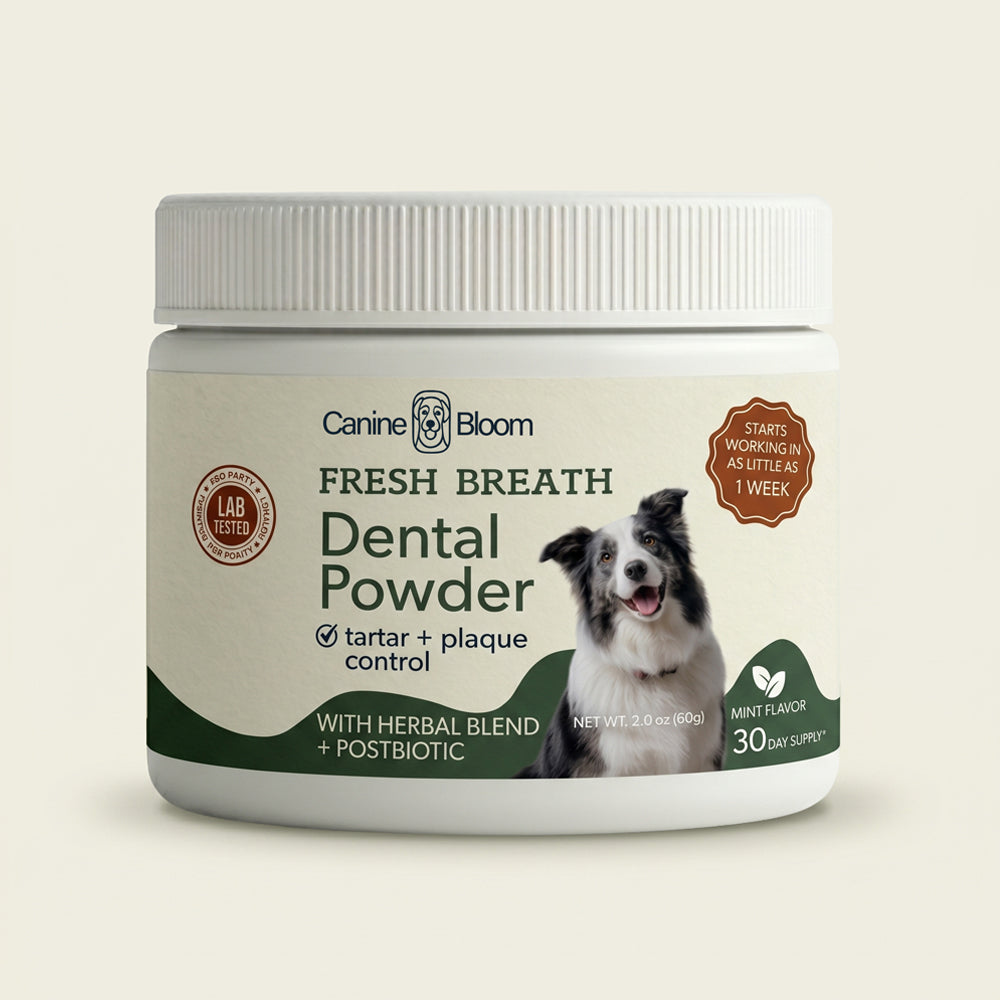 Canine Bloom Fresh Breath Dental Powder