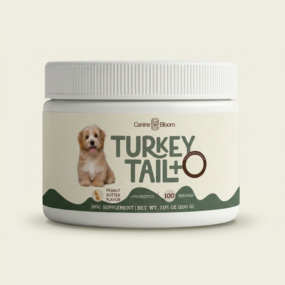 Canine Bloom Turkey Tail + Probiotics