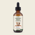 An amber glass dropper bottle of CanineBloom Urinary Tract Cranberry Treatment for Dogs, featuring a cream label with dog illustrations and a black dropper cap, set against a solid light beige background.