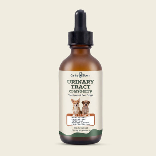 An amber glass dropper bottle of CanineBloom Urinary Tract Cranberry Treatment for Dogs, featuring a cream label with dog illustrations and a black dropper cap, set against a solid light beige background.